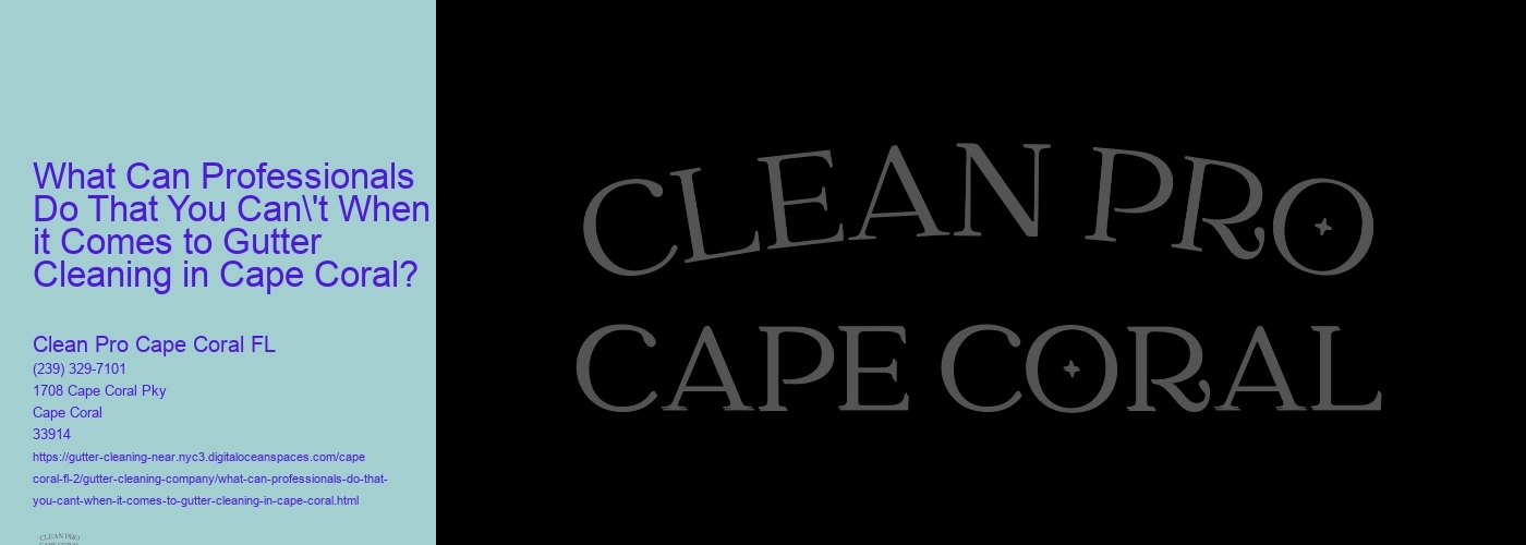 What Can Professionals Do That You Can't When it Comes to Gutter Cleaning in Cape Coral? 